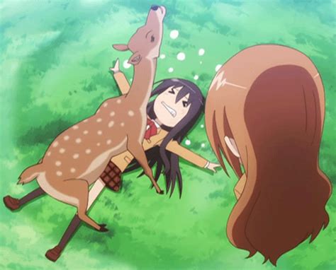 Animales Pervertidos😈 Wiki •anime• Amino