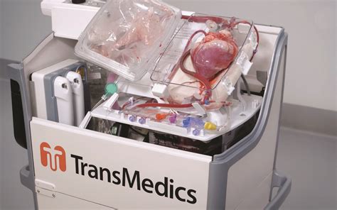 Groundbreaking Technology Allows “dead” Hearts To Be Transplanted