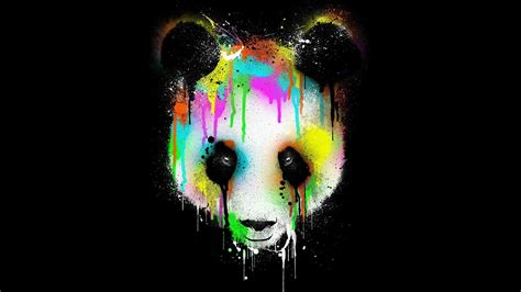 Panda Hd Wallpaper Background Image 1920x1080