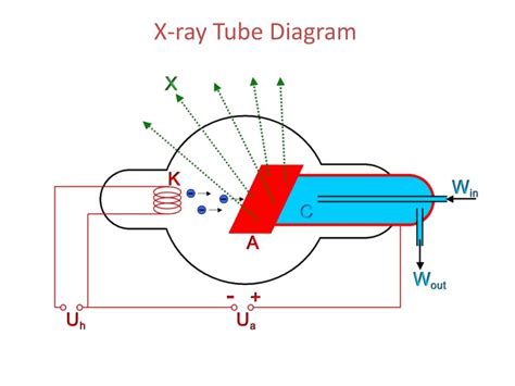 Ppt X Ray Tube Diagram Powerpoint Presentation Free Download Id2571051