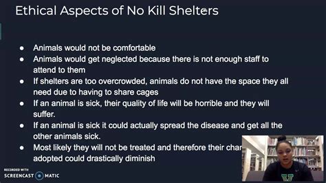 Against No Kill Shelters Group 4 Original Posting Youtube