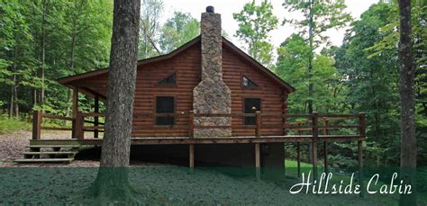 Hillside Cabin - Pet Friendly and a good value!!! Went ...
