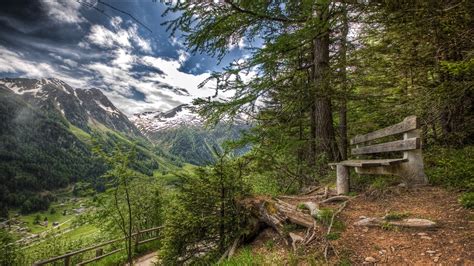 Nature Landscape Forest Mountain Valley Bench Village Summer