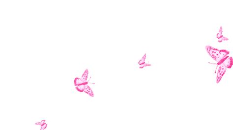 Pink Butterfly Gif