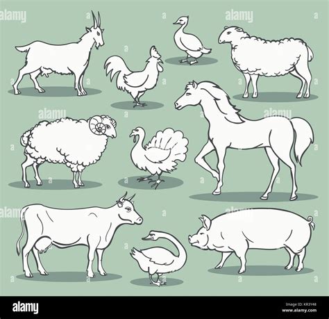 Farm Animals Sketch Livestock Doodle Set Vector Illustration Like