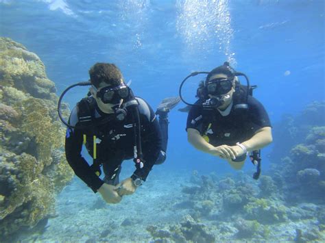 Sharm El Sheikh Diving Day Trips Scuba Diving Tours