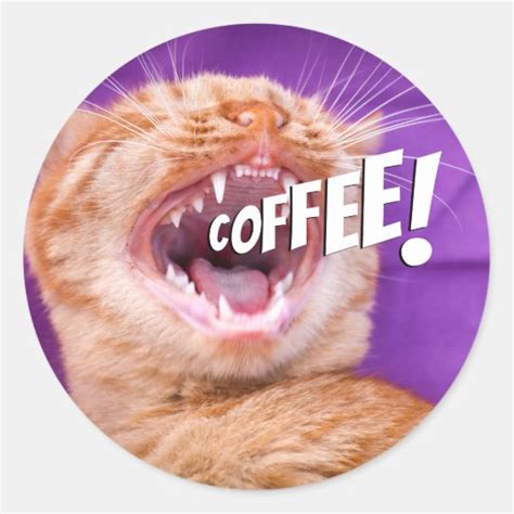 Cat Screaming For Coffee Funny Cat Lover Classic Round Sticker