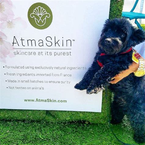 Melrose Trading Post Karlas Pick For Cutie Pie Of The Day Is Coco In The Atmaskin Booth