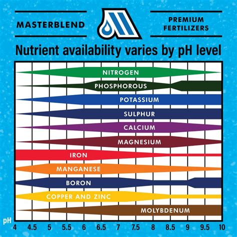 What Effect Does Ph Have On Nutrient Uptake In Plants • Masterblend International