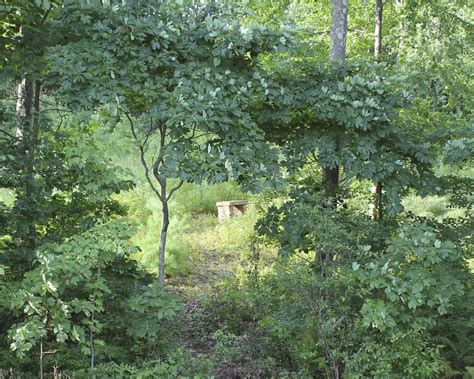 We did not find results for: Red House Garden: All the Dirt on Sassafras