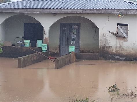 Two Swept Away Nine Rescued In Lagos Flood The Nation Newspaper