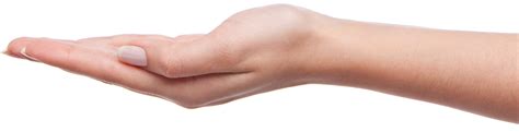 Hands Png Image Purepng Free Transparent Cc0 Png Image Library