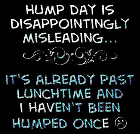 Hump Day Wednesday Quotes Funny Quotesgram