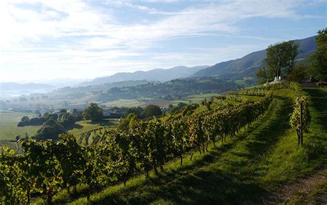 Unirank tries to answer this question by publishing the 2021. Vins de Nouvelle-Aquitaine | Bordeaux Fête le vin