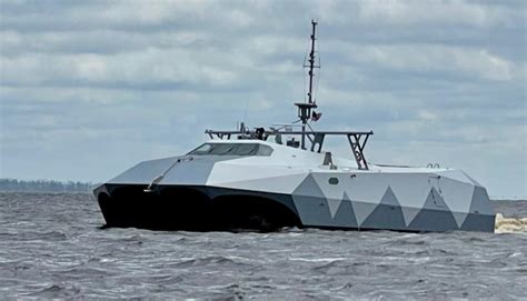 Navys Stealth Vessel Intrigues Almost As Much As Pollen Cape Gazette
