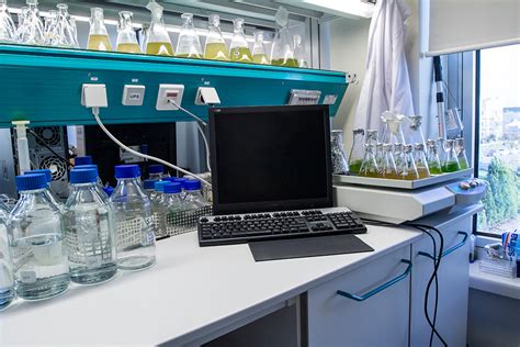 Plant Biotechnology Lab Molecular Biology Genetics And Bioengineering