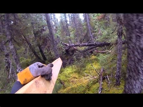 It may be your vacation lodge, a tranquil retreat, an escape from the pressures of daily life, or a refuge from a chaotic world. Start To New Trappers Cabin - YouTube