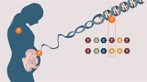 Mutationen Beim Menschen So Häufig Sind Sie