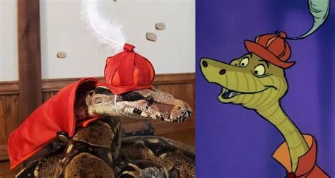 These Hats On Snakes Remind Us Of Disney Characters Disney Dining