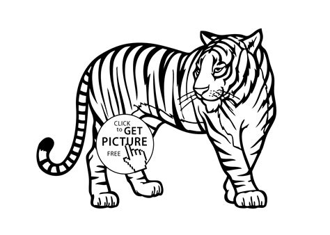 Tiger Wild Animals Coloring Pages For Kids Printable Free Coloing