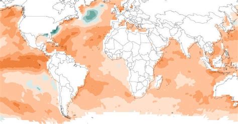 Ocean Heat Waves Are Threatening Marine Life The New York Times