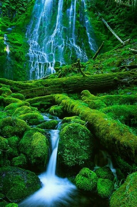 Proxy Falls Oregon Beautiful Waterfalls Beautiful Landscapes Famous