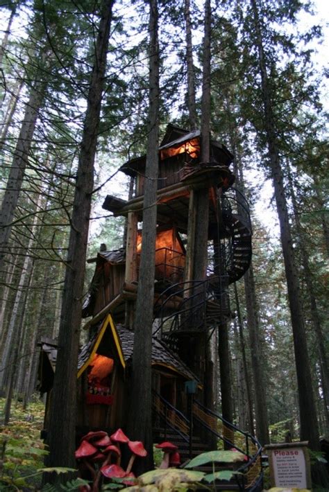 Stepchild Of The Sun — Enchanted Forest Treehouse Revelstoke Bc Canada