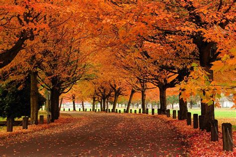 The Best Places To See Fall Colours In Vancouver