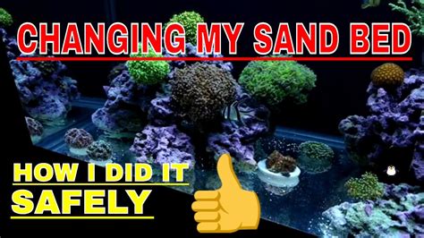 75 Gallon Reef Tank Changing The Sand Bed Caribsea Sand Youtube