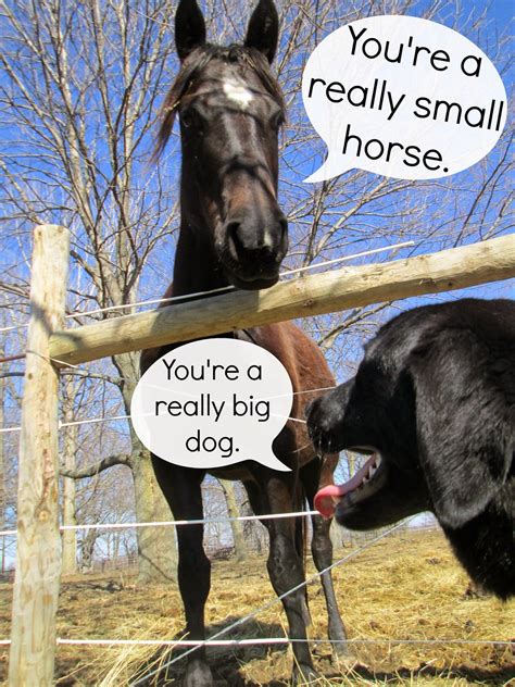 According to a bbc television news report following his death last year, he coined the phrase to illustrate his dislike of working in teams. THE REHOMESTEADERS: Big Dog. Little Horse.