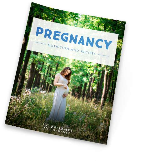 Bellamys Organic Pregnancy Resource Ebook