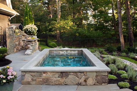 Luxury Plunge Pool Small Backyard Pools Luxury Landscaping Small Pools