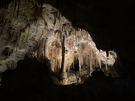 Carlsbad Caverns Natural Entrance Tour Carlsbad Caverns National Park