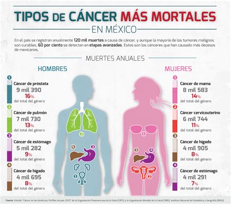 Conoce Los Sintomas De Los Tipos De Cancer Mas Frecuentes Bioguia Images