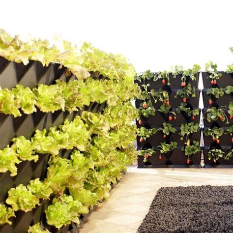 Salad Wall Planters From Garden Beet Jardines Verticales Huerto