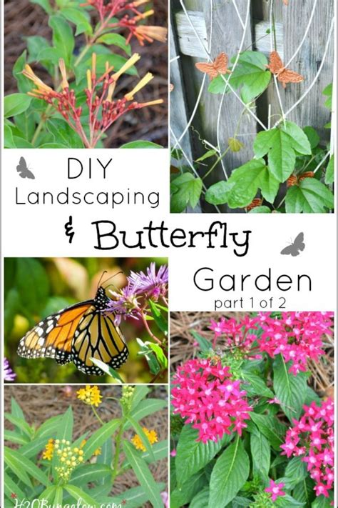 Diy Butterfly Garden Landscaping Part 1