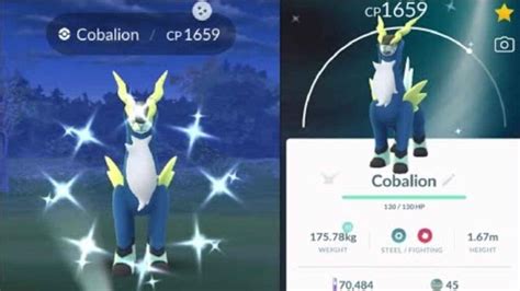 How To Get Shiny Cobalion In Pokemon Go Betasetup