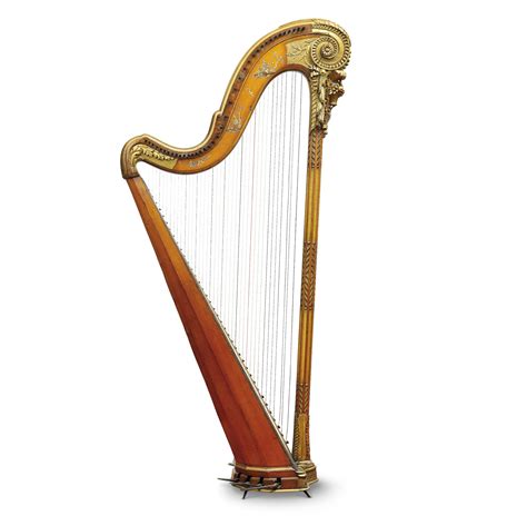 What Is A Harp Harp Facts For Kids Dk Find Out