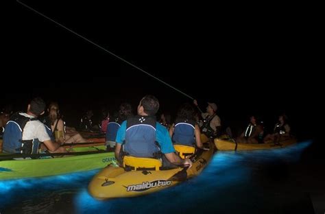 Bioluminescent Bay Night Kayaking Tour In Laguna Grande Fajardo