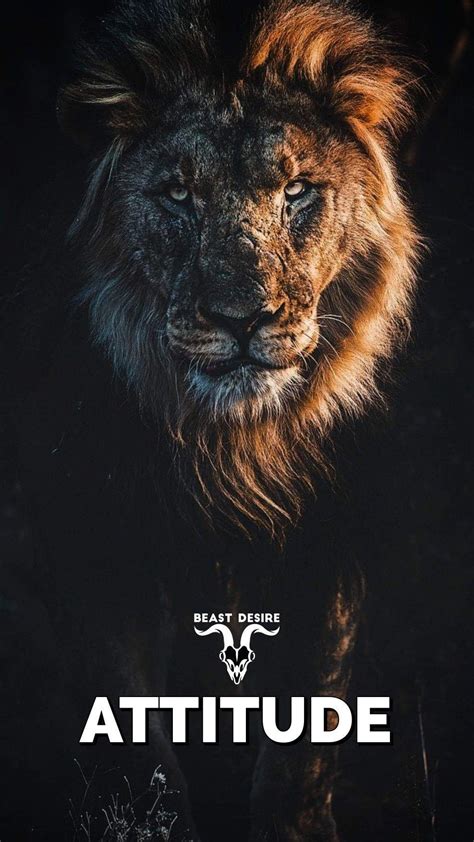 Lion Motivation Wallpapers Top Free Lion Motivation Backgrounds