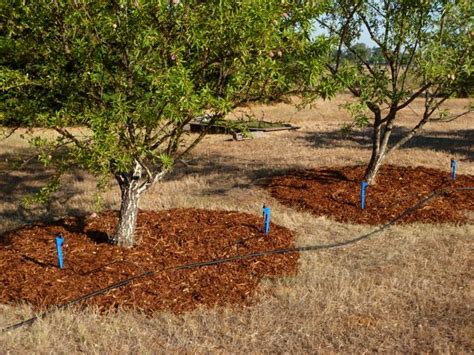 We did not find results for: The Farmer Fred® Rant: Drip Irrigation: How Long Do I Water?