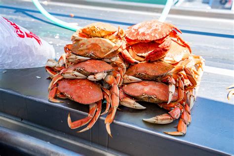 5 Epic Oregon Coast Crabbing Spots Helpful Guide