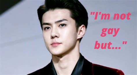 A Male Fans His Honest Thoughts On Exos Sehun After Meeting Him