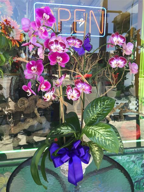 Double Purple Orchid Arrangement In Los Angeles Ca Highland Park Florist
