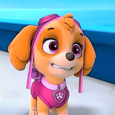 Arriba 101 Foto Que Raza Es Skye De Paw Patrol El último