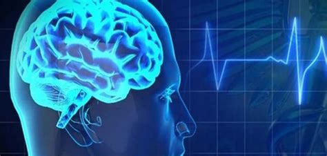 If you need to use your health insurance, take comfort in the fact that cuba has one of the best healthcare systems in the world. Cuba y sus aportes a la salud cerebral global - Covering ...