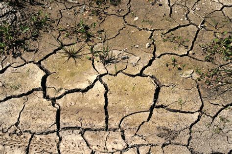 Free Images Branch Field Ground Dry Soil Natural Disaster