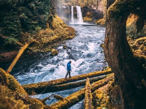 Come explore with all your friends. Is Gravity Falls Oregon A Real Place? | Visit Oregon