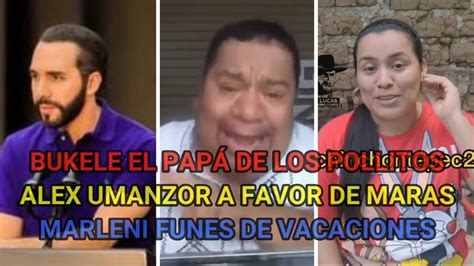 Bukele El Papa De Los Pollitos Youtube