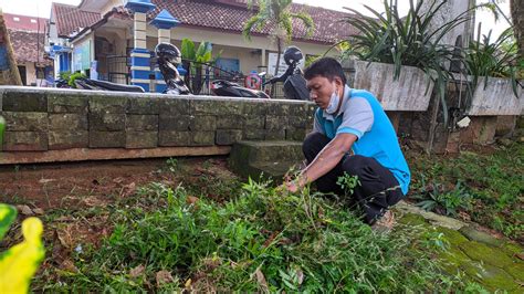 Bersih Bersih Taman Kali Tuntang Dinas Pertanian And Pangan Kabupaten Demak